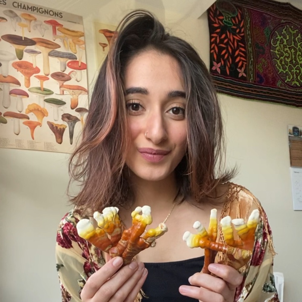 Meet your Posher, Pri